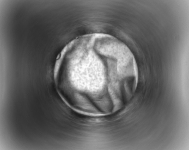 X0000088040465200706011327