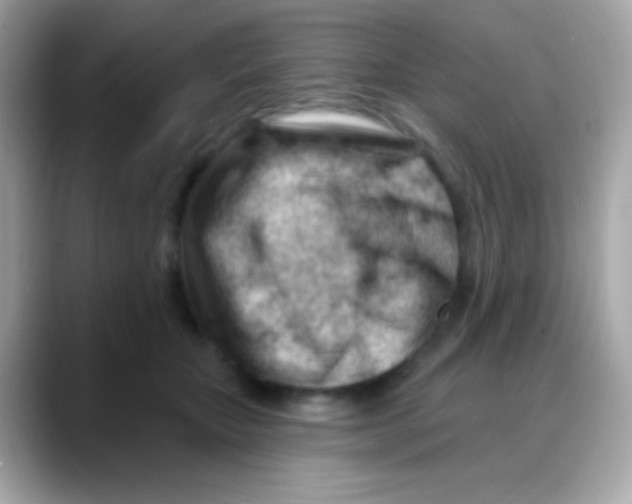 X0000088040467200706011327