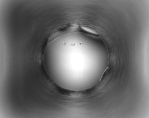 X0000088040470200706011327