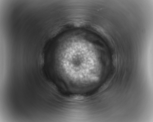 X0000088040471200706011327