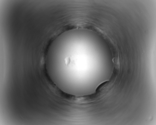 X0000088040472200706011327