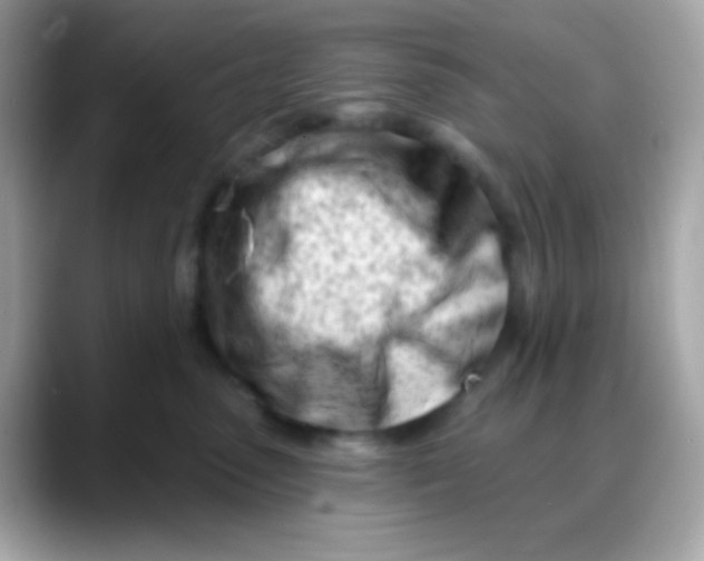 X0000088040475200706011327