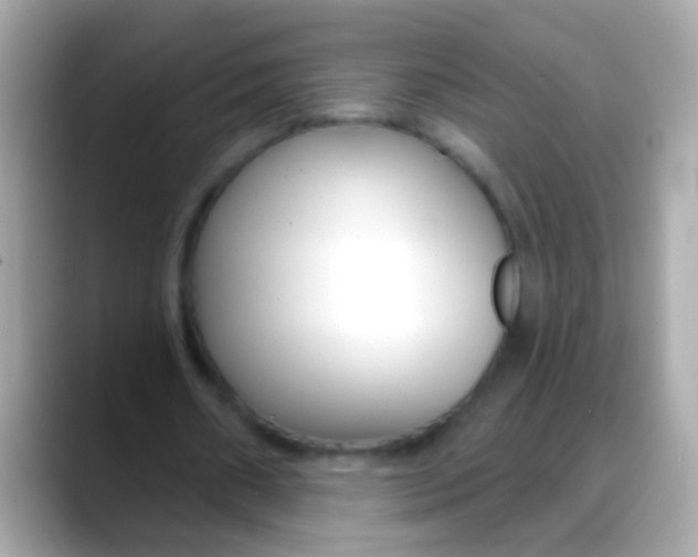 X0000088040482200706011327