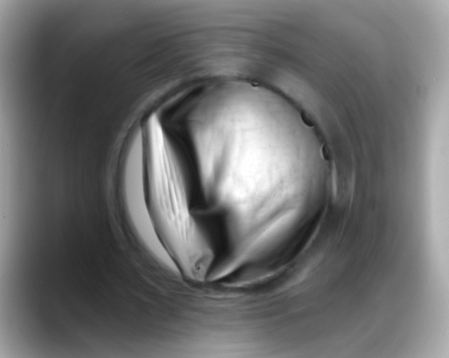 X0000088040483200706011327