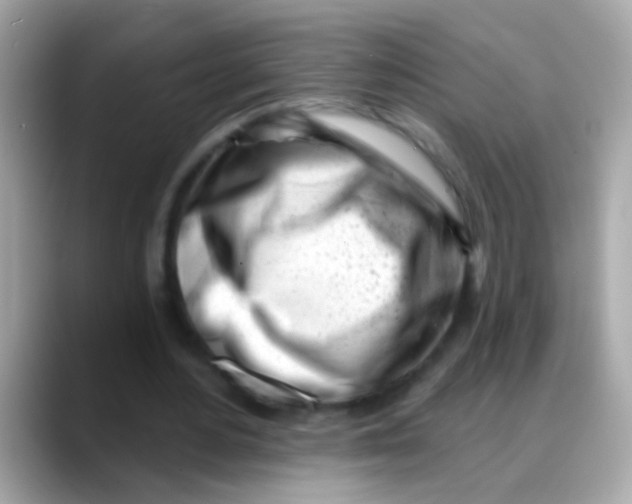 X0000088040484200706011326