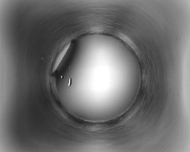 X0000088040485200706011326