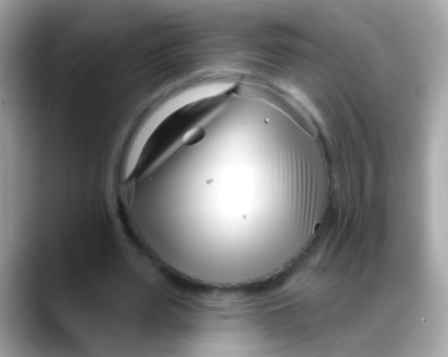 X0000088040487200706011326