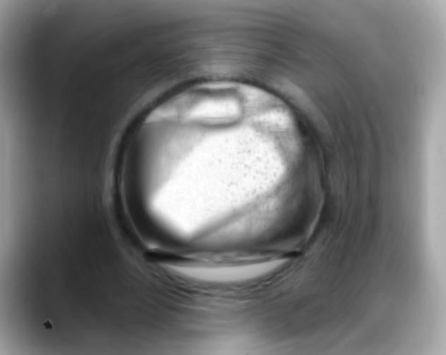 X0000088040488200706011326