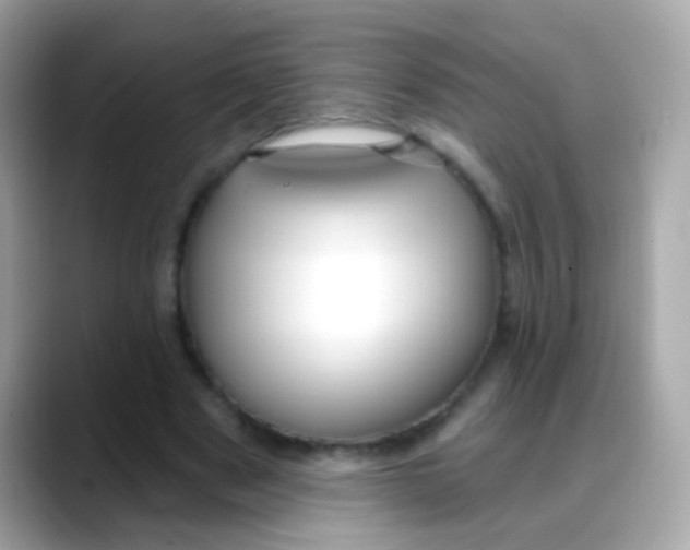 X0000088040489200706011326