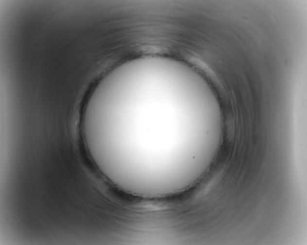 X0000088040490200706011326