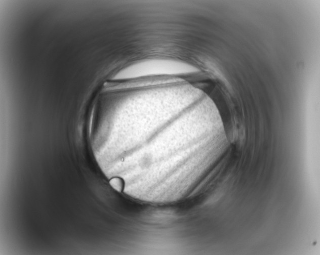 X0000088040491200706011326