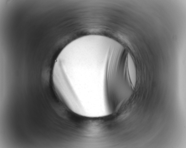 X0000088040495200706011326