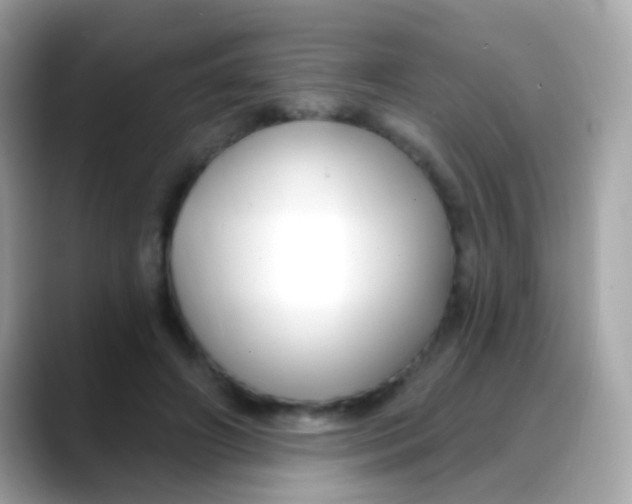 X0000088040498200706011326