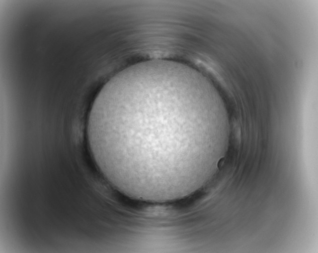 X0000088040499200706011326