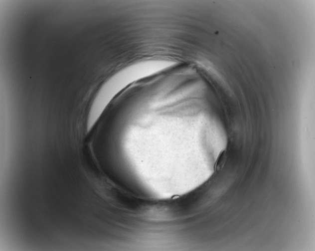 X0000088040500200706011326