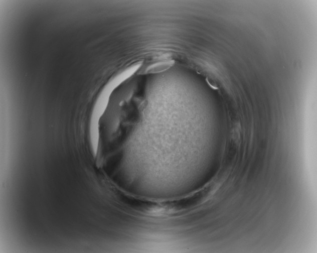 X0000088040504200706011326