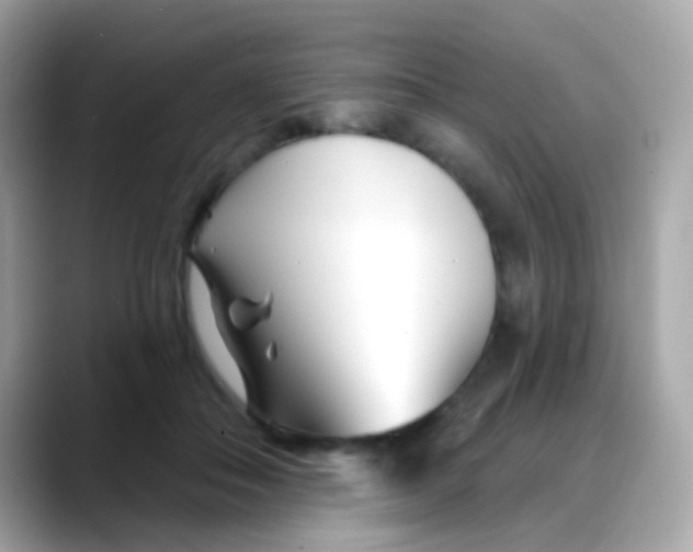 X0000088040506200706011326