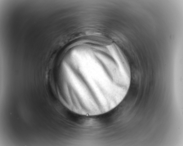 X0000088040507200706011326