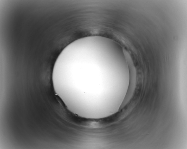 X0000088040509200706011326