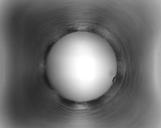 X0000088040510200706011326