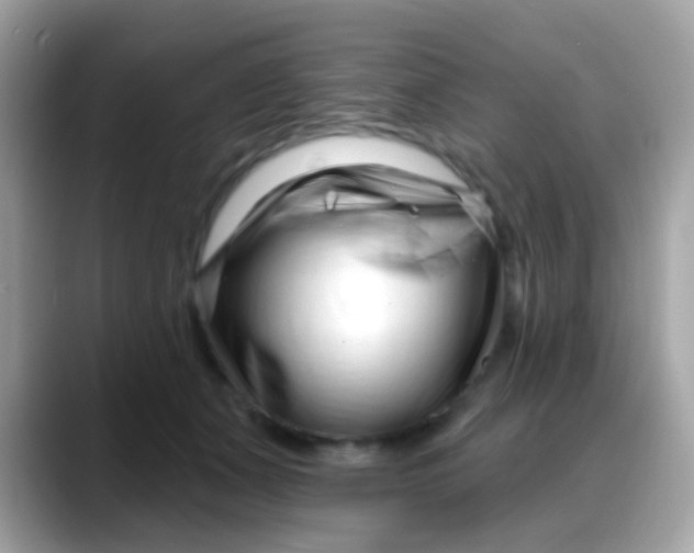 X0000088040511200706011326