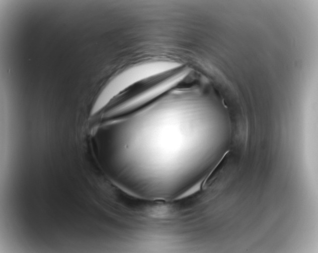 X0000088040513200706011326