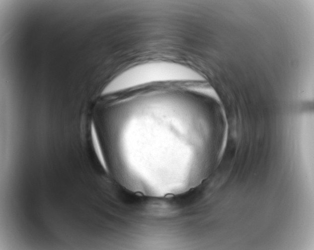 X0000088040519200706011326