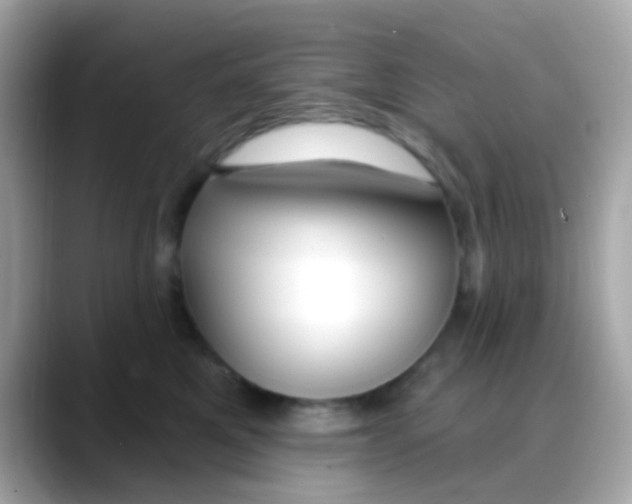 X0000088040521200706011326