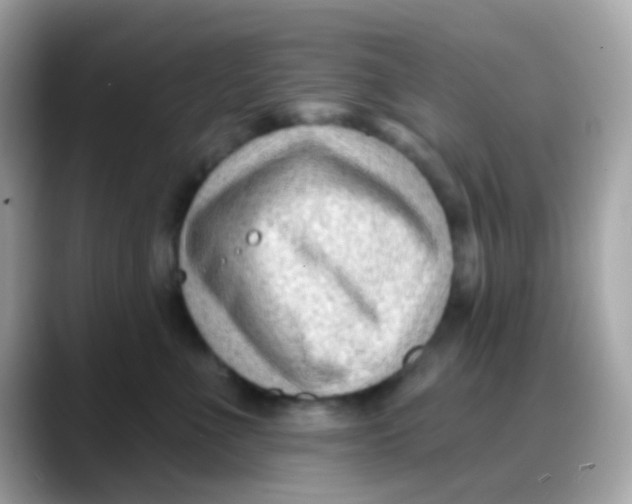 X0000088040523200706011326