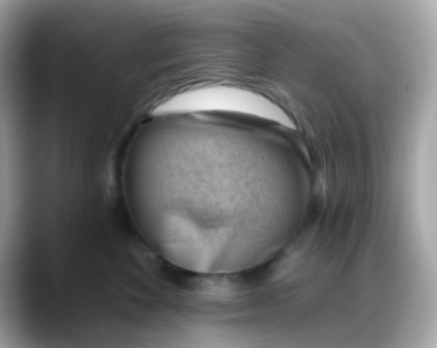 X0000088040524200706011326