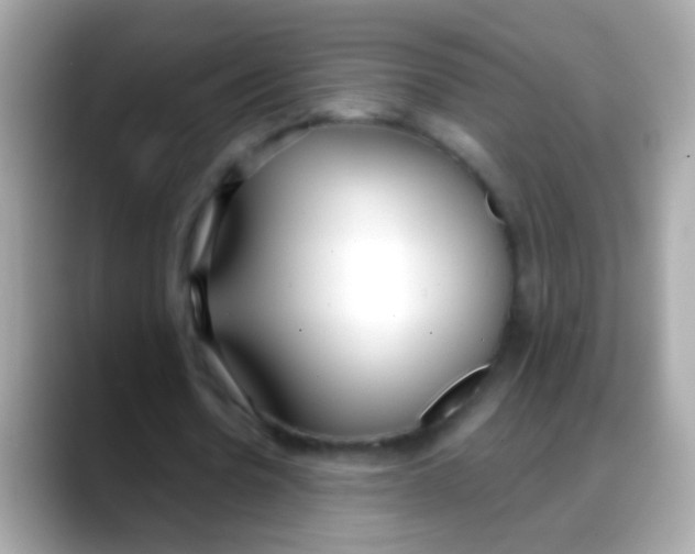 X0000088040530200706011325