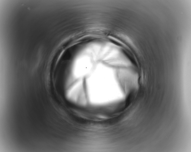 X0000088040531200706011325