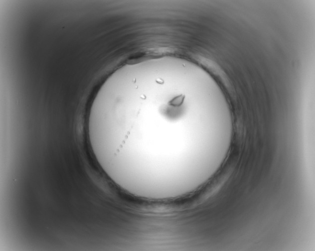 X0000088040533200706011325