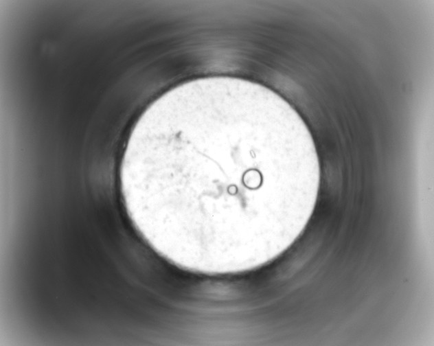 X0000088040534200706011325