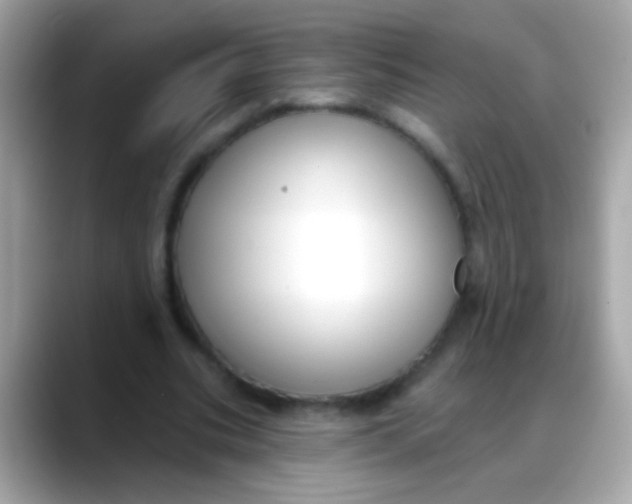 X0000088040535200706011325