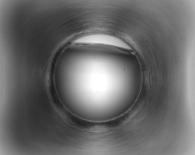 X0000088040536200706011326