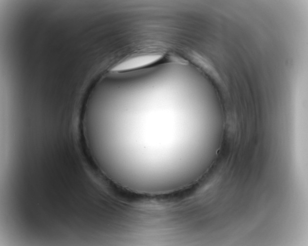 X0000088040538200706011326