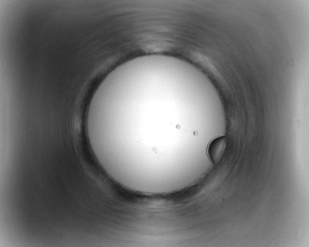 X0000088040539200706011326