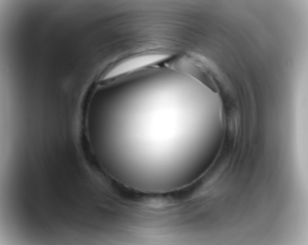 X0000088040540200706011326