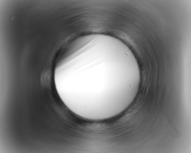 X0000088040542200706011326