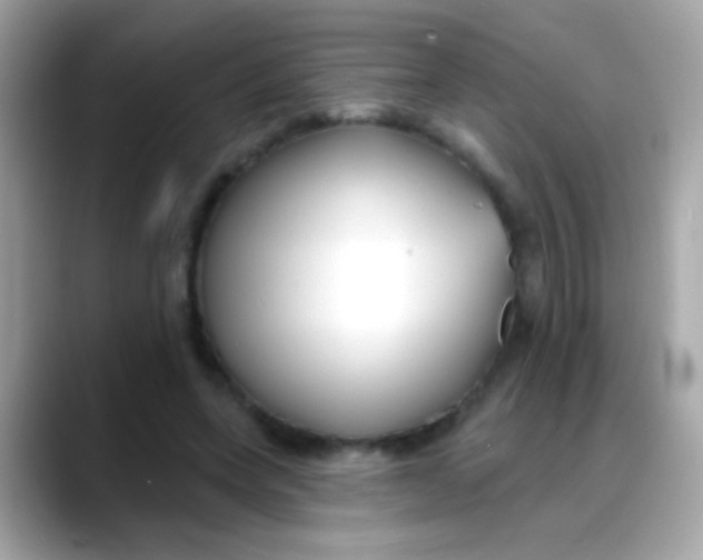 X0000088040543200706011326