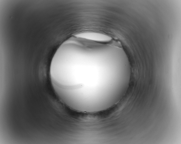 X0000088040546200706011326