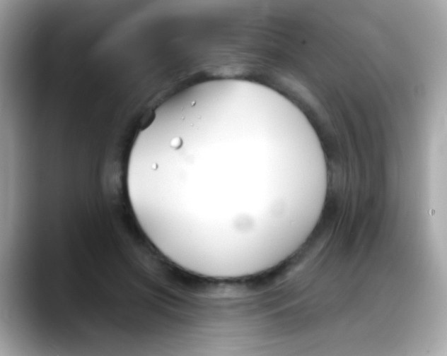 X0000088040549200706011326