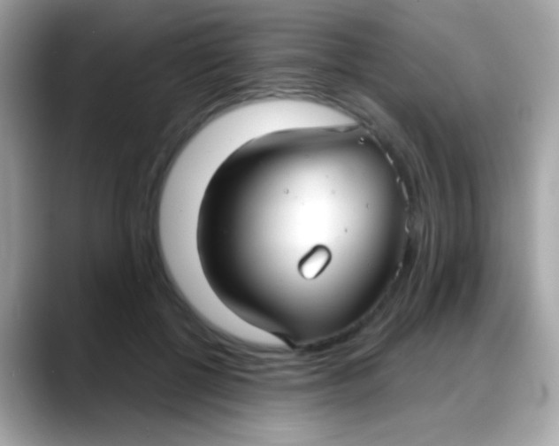 X0000088040552200706011326