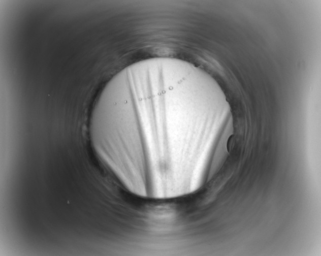 X0000088040553200706011326