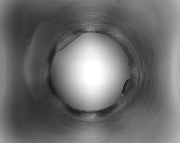 X0000088040554200706011326