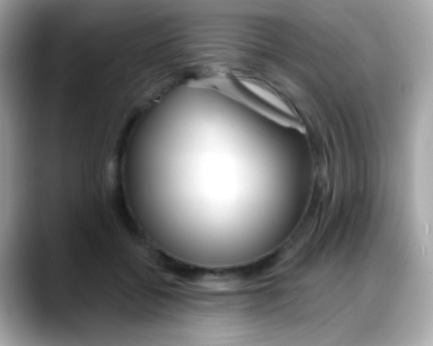 X0000088040556200706011326