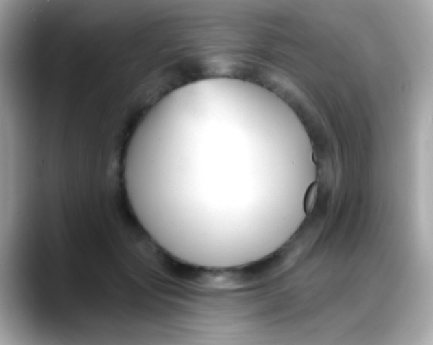 X0000088040557200706011326