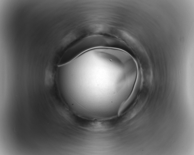 X0000088040558200706011326