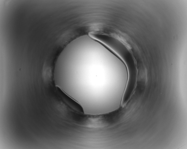 X0000088040560200706011326